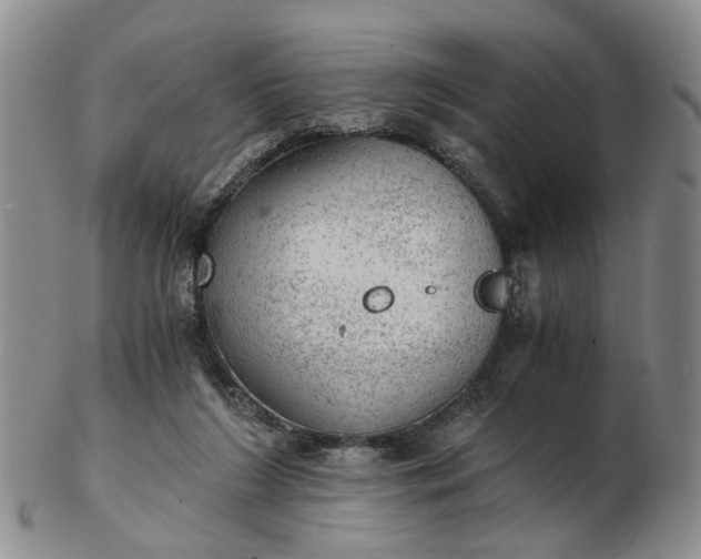 X0000103160212200809051707