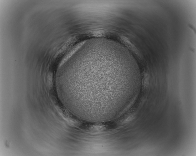 X0000103160213200809051707