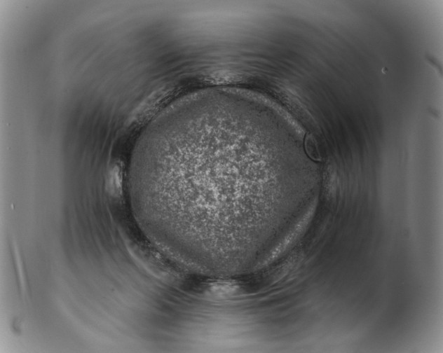 X0000103160214200809051707