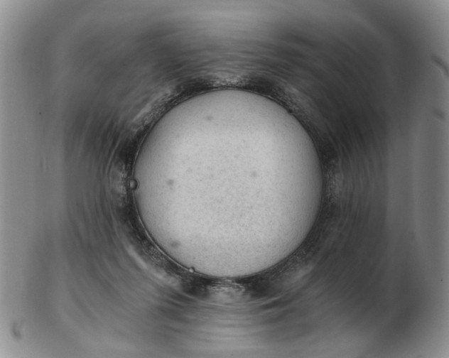 X0000103160215200809051707