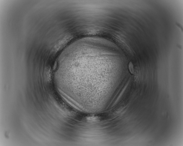 X0000103160216200809051707