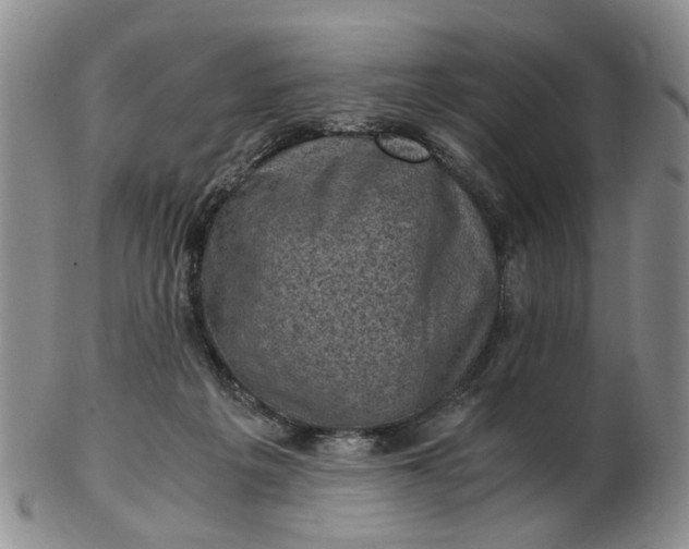 X0000103160217200809051707