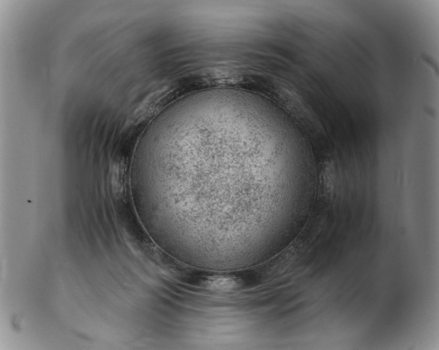 X0000103160218200809051707