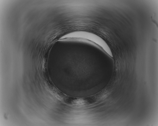 X0000103160219200809051707