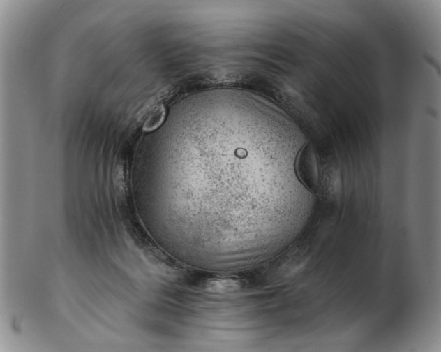 X0000103160220200809051707