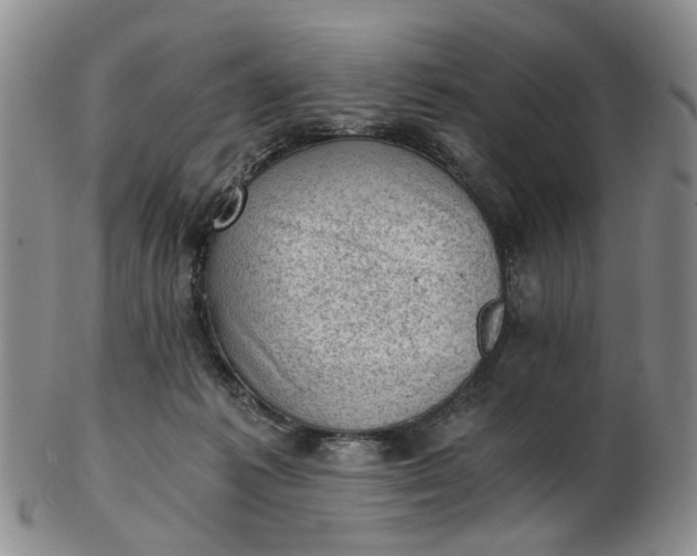 X0000103160221200809051707