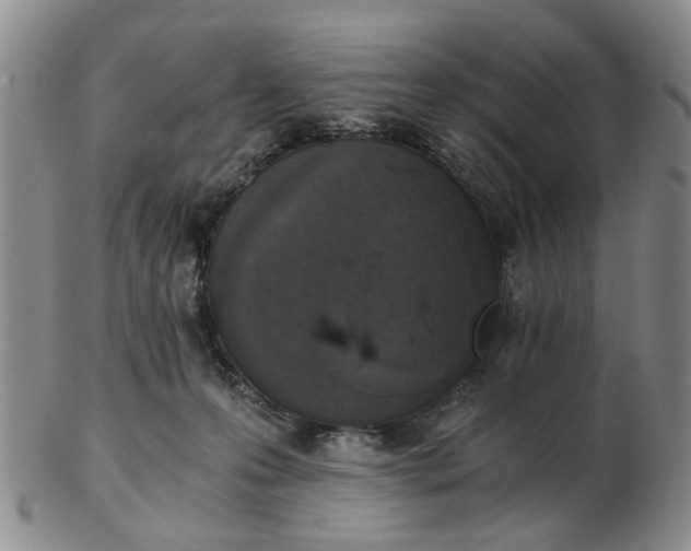 X0000103160223200809051707