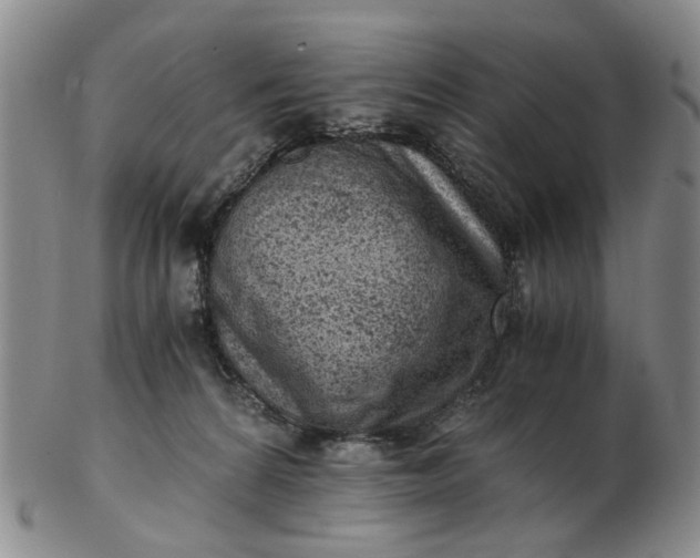 X0000103160224200809051707