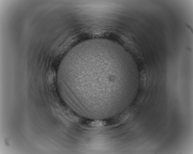 X0000103160225200809051707