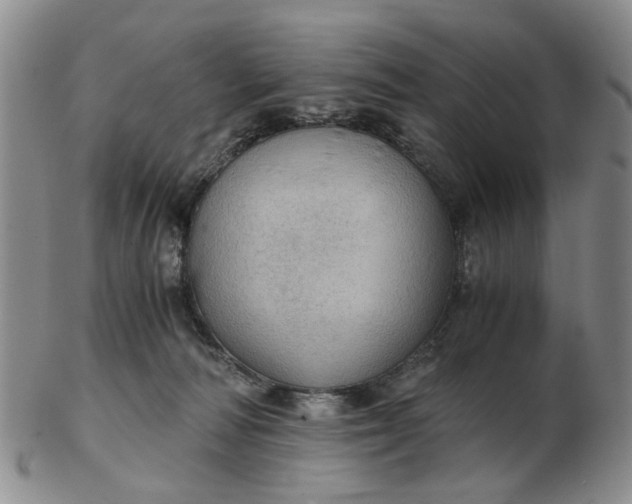 X0000103160226200809051707