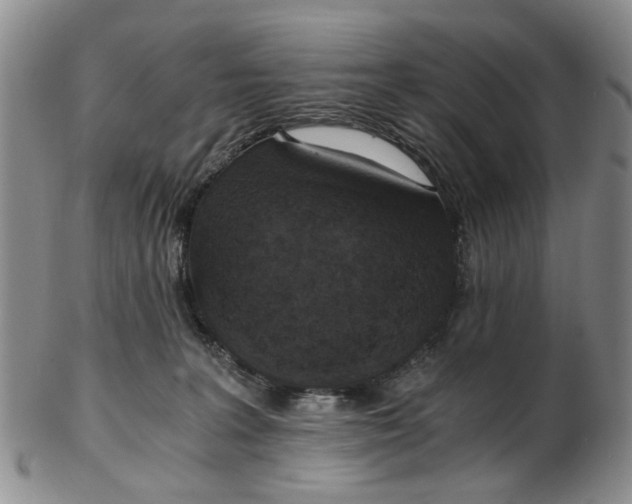 X0000103160227200809051707