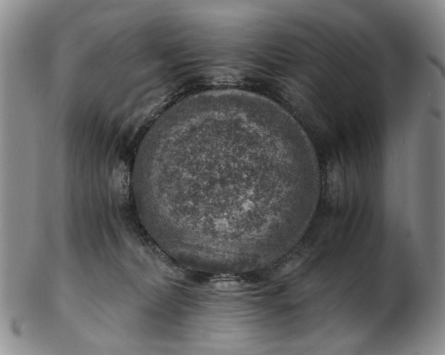 X0000103160228200809051707