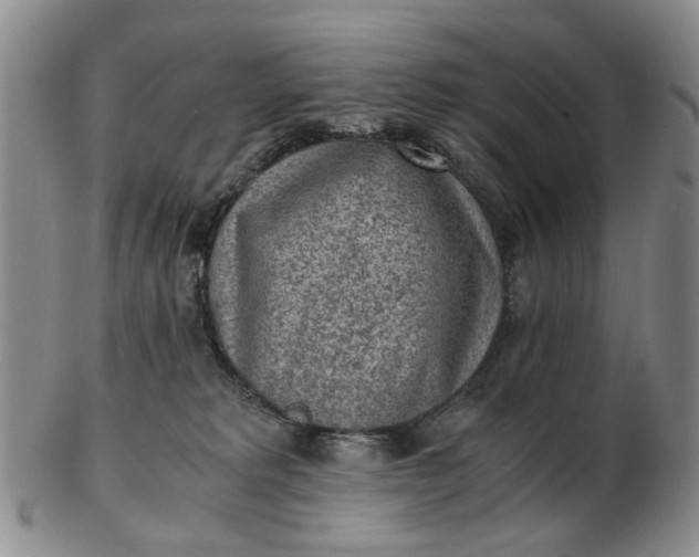 X0000103160229200809051707