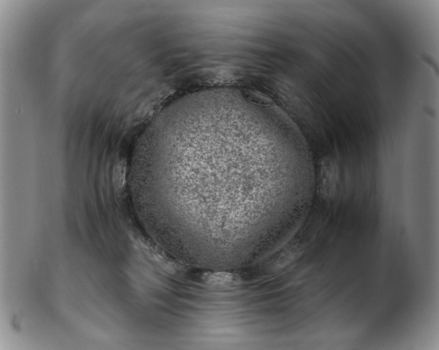 X0000103160230200809051707