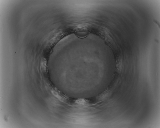 X0000103160231200809051707