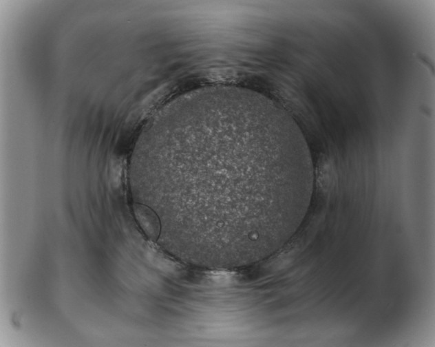 X0000103160233200809051707