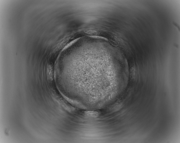 X0000103160234200809051707