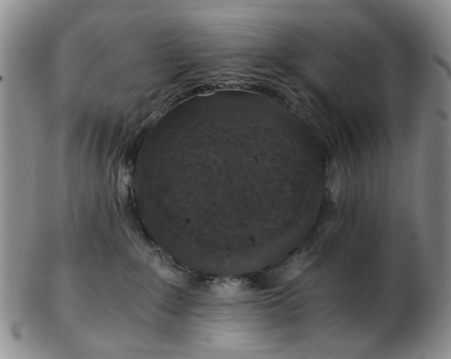 X0000103160235200809051707