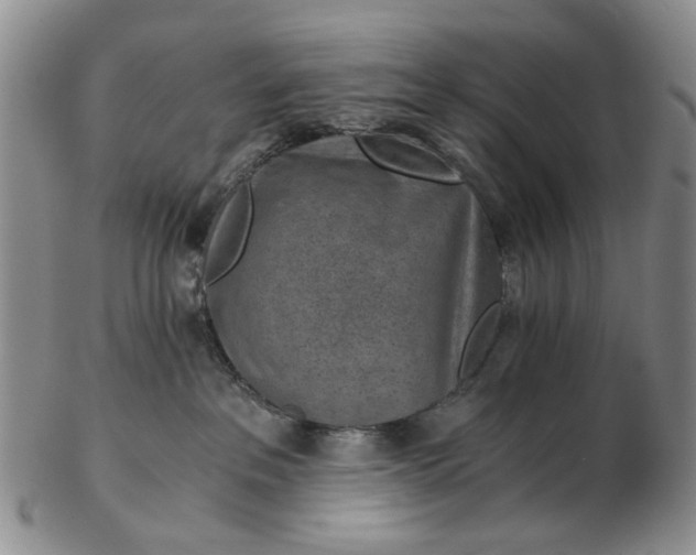 X0000103160237200809051707