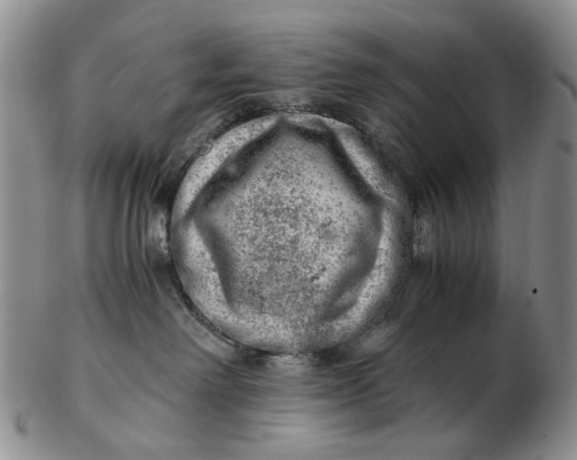 X0000103160238200809051707