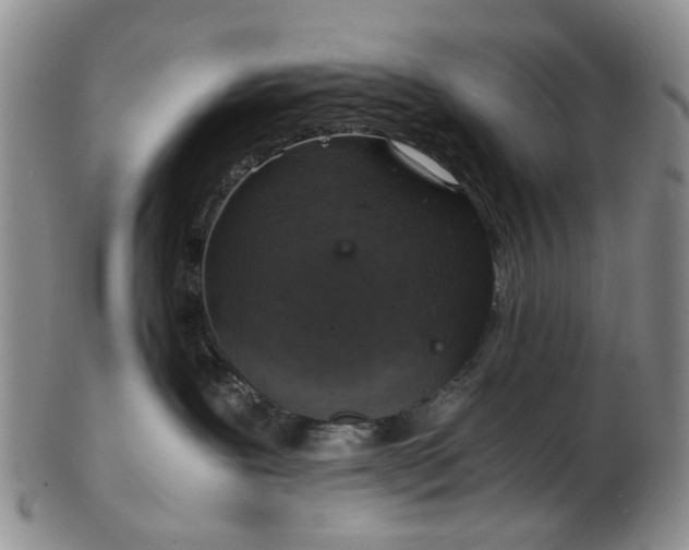 X0000103160239200809051707