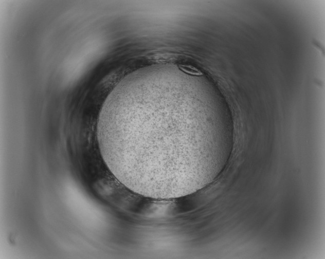 X0000103160240200809051706