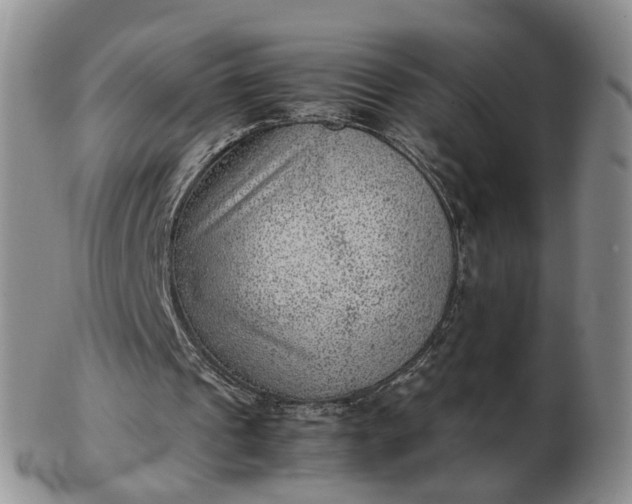 X0000103160241200809051706