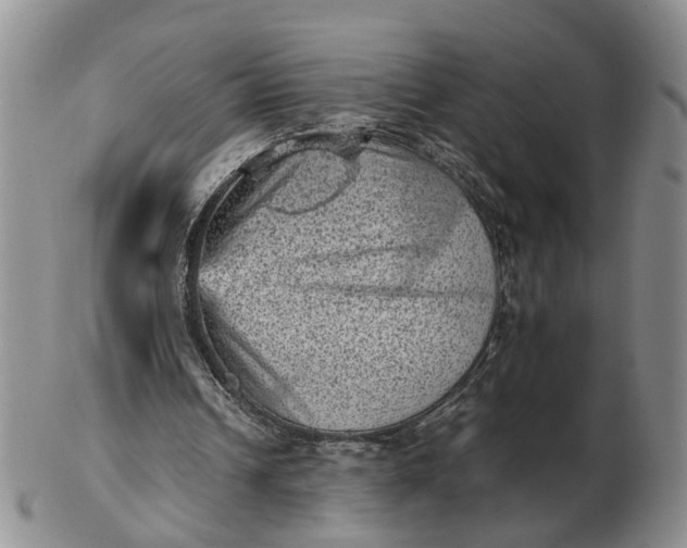 X0000103160242200809051706