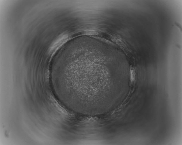 X0000103160243200809051706