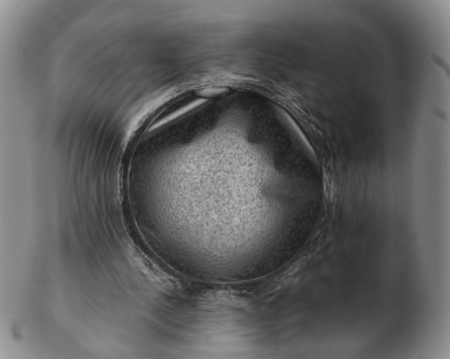 X0000103160244200809051706