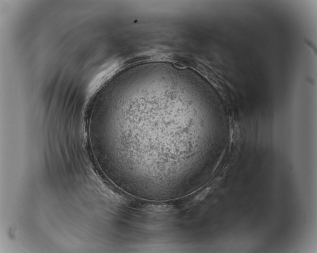 X0000103160245200809051706