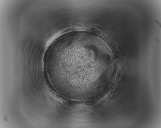 X0000103160246200809051706