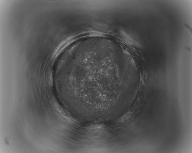 X0000103160247200809051706