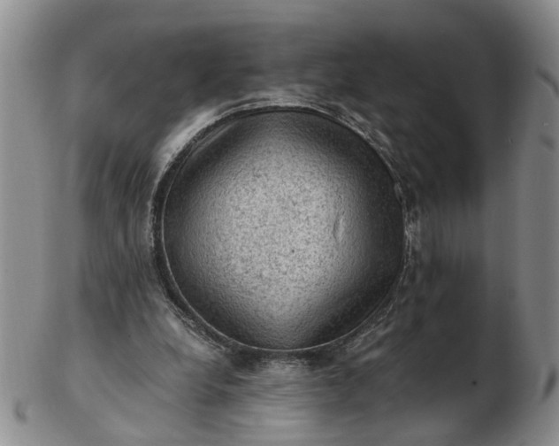 X0000103160248200809051706