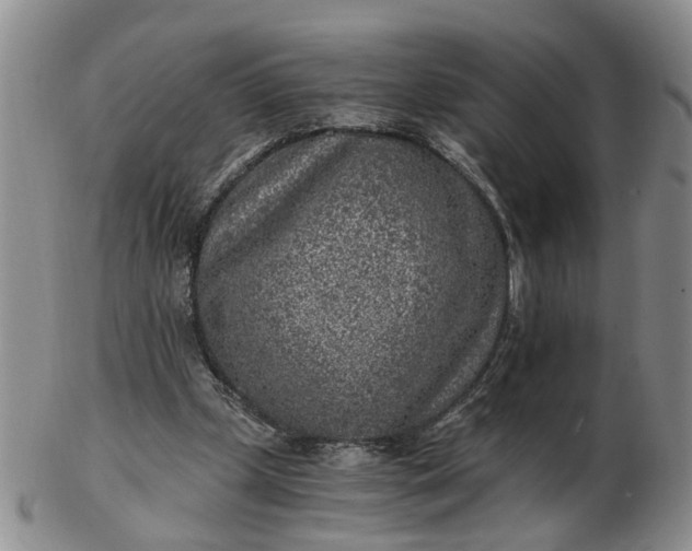 X0000103160249200809051706