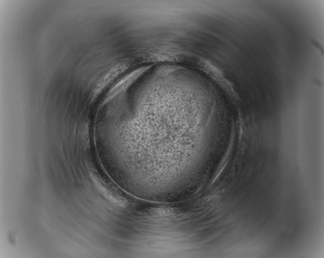 X0000103160250200809051706