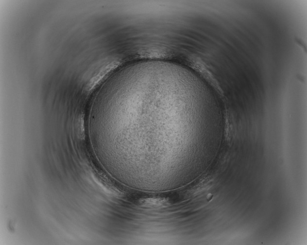 X0000103160251200809051706