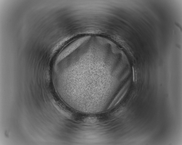 X0000103160252200809051706