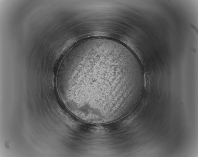 X0000103160253200809051706