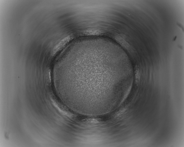 X0000103160254200809051706