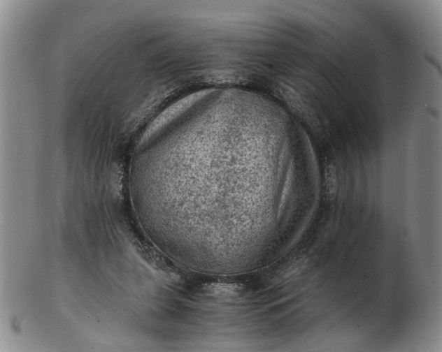 X0000103160255200809051706