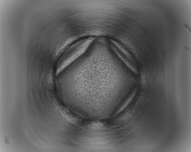 X0000103160256200809051706