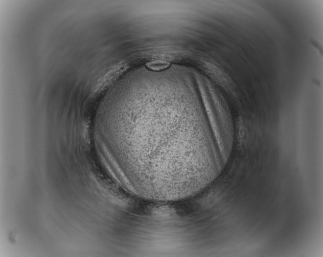 X0000103160258200809051706