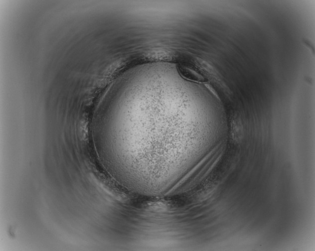 X0000103160259200809051706