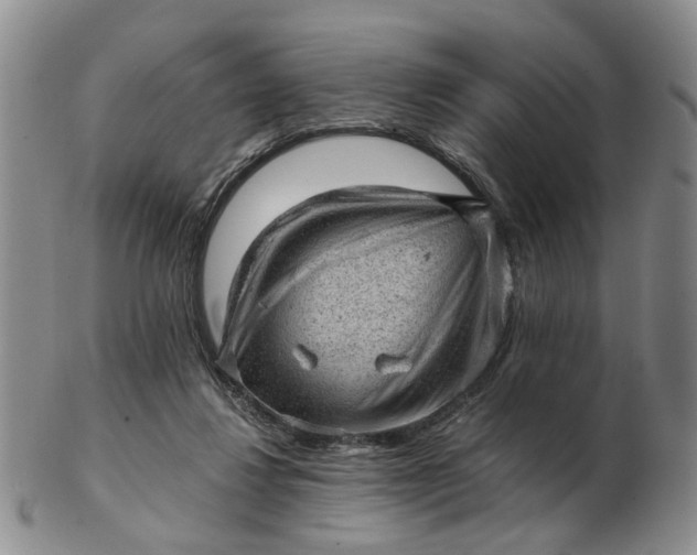 X0000103160260200809051706