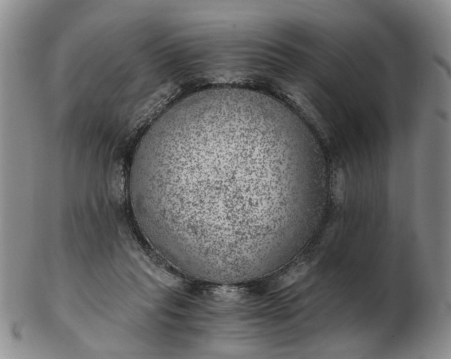 X0000103160261200809051706