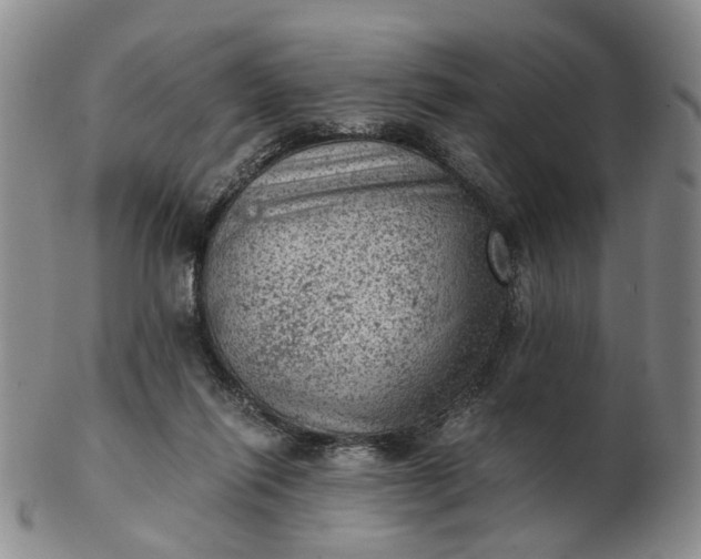 X0000103160262200809051706