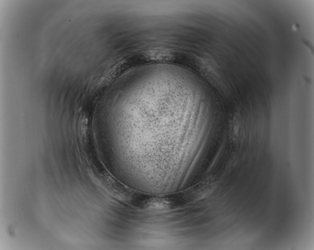 X0000103160263200809051706