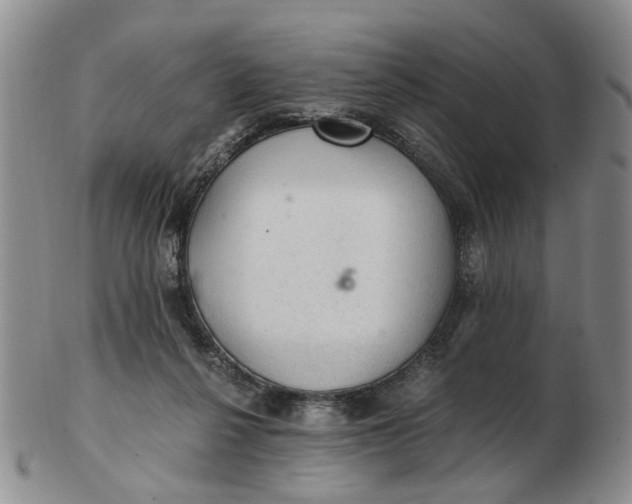 X0000103160264200809051706