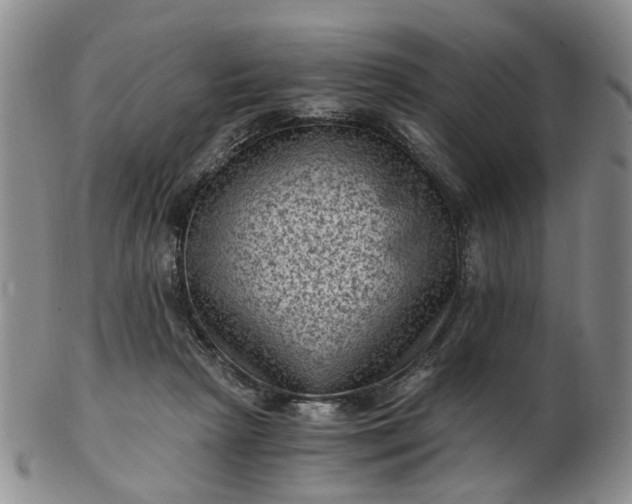 X0000103160265200809051706